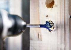 Bosch Expert Self Cut Speed Yaprak Delme Ucu HEX 17x152mm