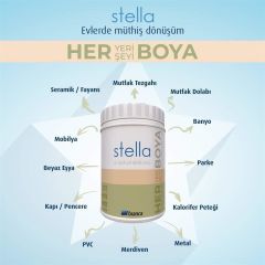 Bianca Stella Su Bazlı Akrilik Boya Siyah 1 lt