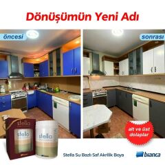 Bianca Stella Su Bazlı Akrilik Boya Siyah 500 ml