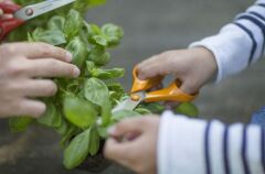 Fiskars 1001539 Çiçek ve Bitki Makası 21 cm