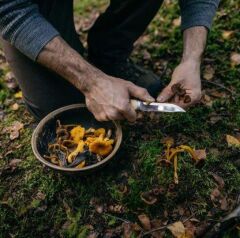 Fiskars 1072090 Norden Ahşap Saplı Bıçak (Kılıflı)
