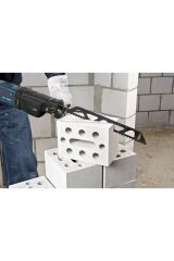 Bosch EXP Panter T HollowBrick S1243HM