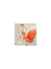 Dkr 703 Ispatula 6 cm