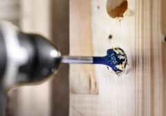 Bosch Expert Yaprak Matkap Ucu HEX 10x400 mm