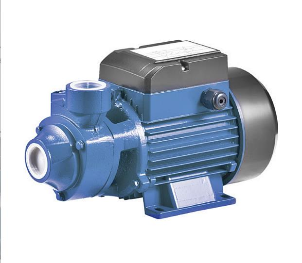 Rainpump QB80-1 hp Santrifuj Pompa