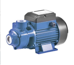 Rainpump QB80-1 hp Santrifuj Pompa