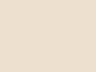 Jotun Jotashield Topcoat Silk Dış Cephe Boyası 13,5 LT 1731 ginger mist