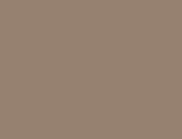 Jotun Jotashield Topcoat Silk Dış Cephe Boyası 13,5 LT 1892 muddy water