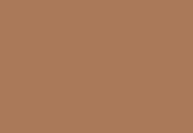 Jotun Jotashield Topcoat Silk Dış Cephe Boyası 13,5 LT 10012 mars dust