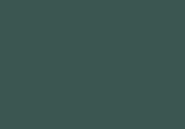 Jotun Jotashield Topcoat Silk Dış Cephe Boyası 13,5 LT 6243 classic green