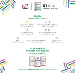 POLİSAN X1 ALL VERNİK MAT (TKM 0,6KG)